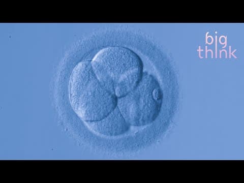 Thumbnail for Bill Nye: Can We Stop Telling Women What to Do With Their Bodies? | Big Think