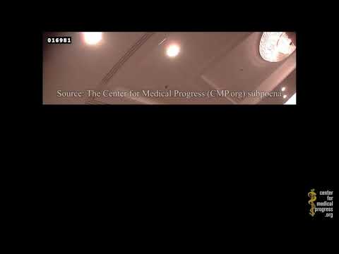 Thumbnail for Congressional Hearing - Planned Parenthood Abortion Trainer: "An Eyeball Just Fell Down Into My Lap"