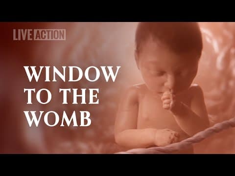 Thumbnail for A Never Before Seen Look At Human Life In The Womb | Baby Olivia