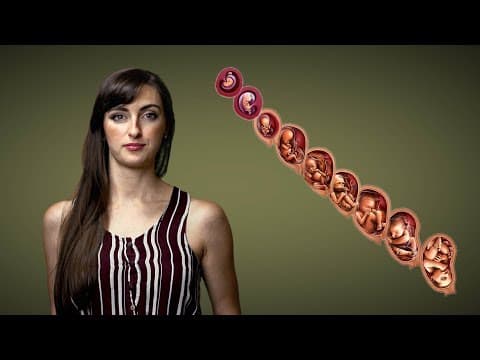 Thumbnail for Late-Term Abortion Facts and Falsehoods